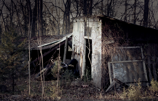 Image result for abandoned shed