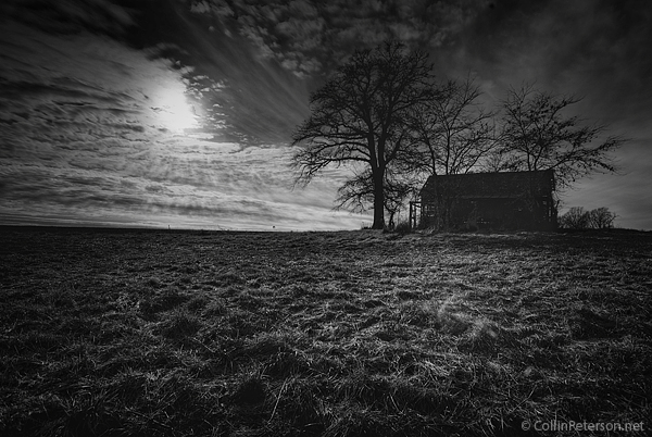 black and white pictures of nature. Black and White, Illinois,